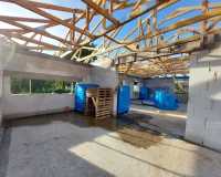 IMG-20260121-WA0013